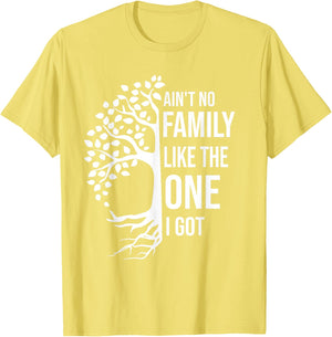 Ain't No Family Like The One I Got Funny Family Reunion 2025