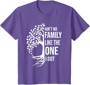 Ain't No Family Like The One I Got Funny Family Reunion 2025