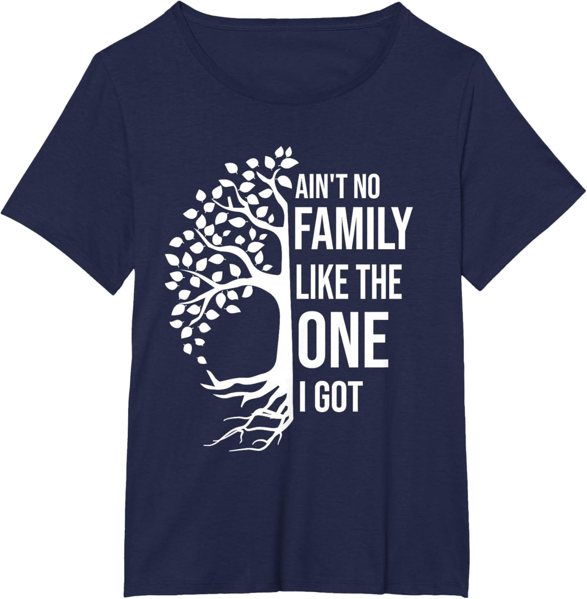 Ain't No Family Like The One I Got Funny Family Reunion 2025