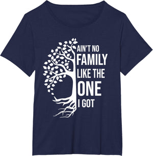 Ain't No Family Like The One I Got Funny Family Reunion 2025