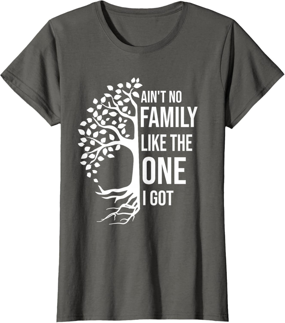 Ain't No Family Like The One I Got Funny Family Reunion 2025