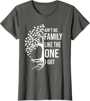 Ain't No Family Like The One I Got Funny Family Reunion 2025