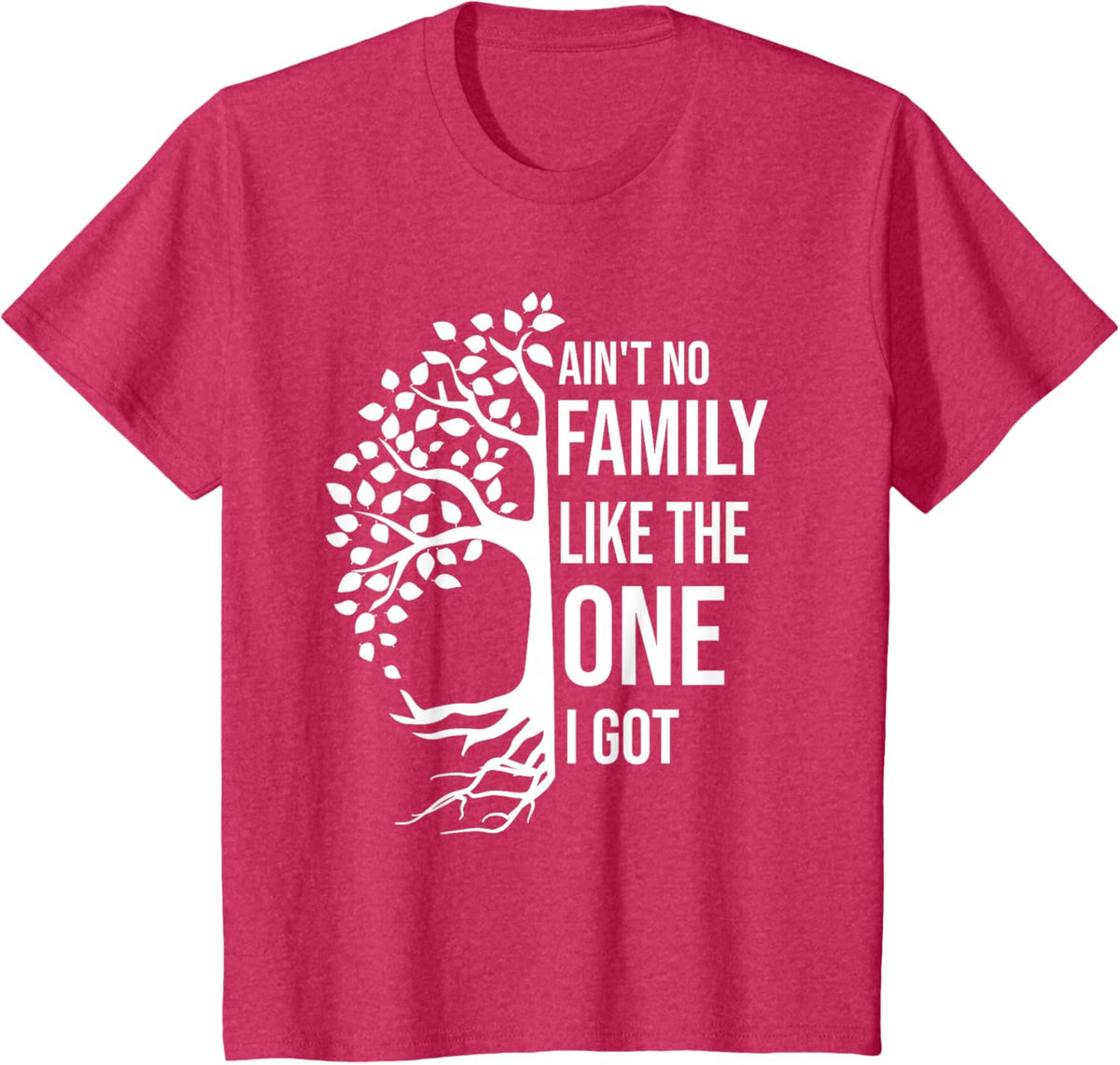 Ain't No Family Like The One I Got Funny Family Reunion 2025