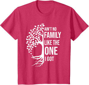 Ain't No Family Like The One I Got Funny Family Reunion 2025