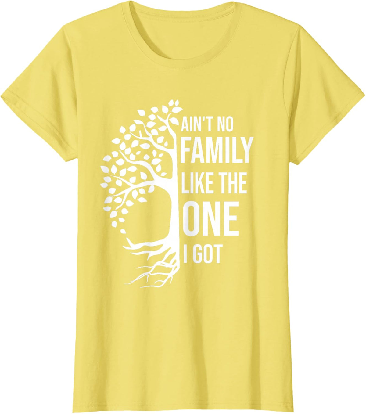 Ain't No Family Like The One I Got Funny Family Reunion 2025