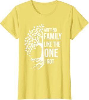 Ain't No Family Like The One I Got Funny Family Reunion 2025