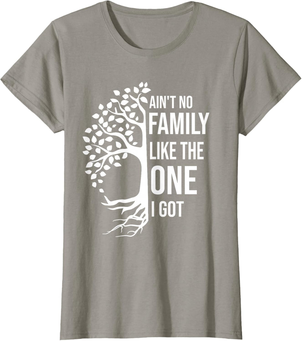 Ain't No Family Like The One I Got Funny Family Reunion 2025