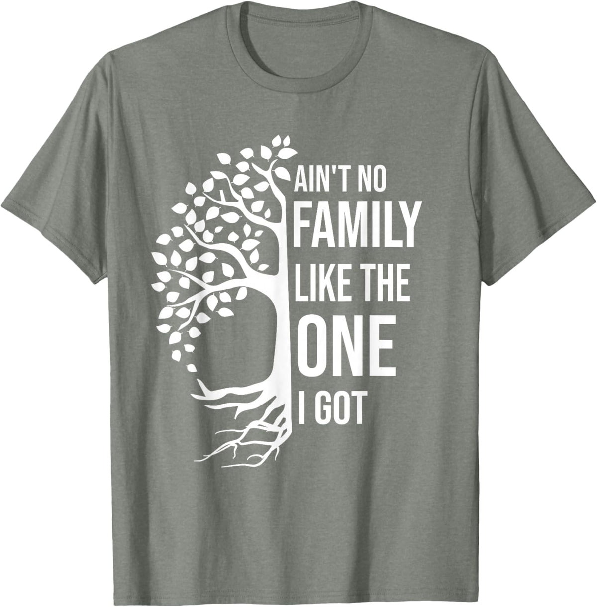 Ain't No Family Like The One I Got Funny Family Reunion 2025