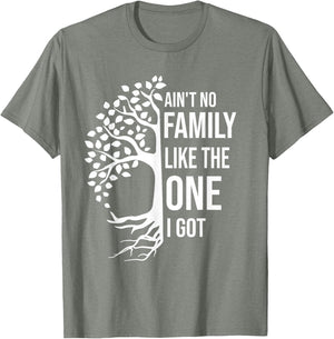 Ain't No Family Like The One I Got Funny Family Reunion 2025