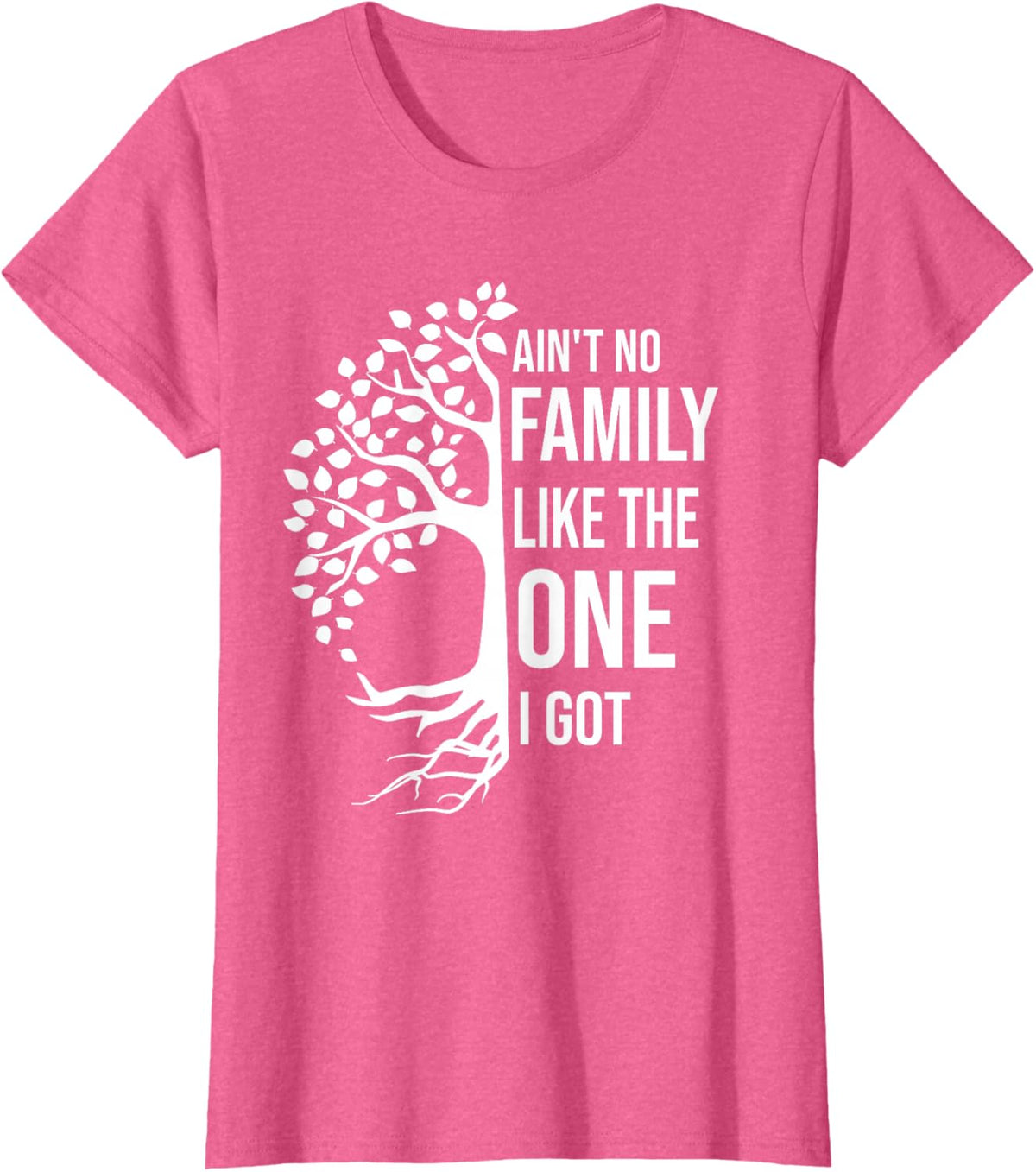 Ain't No Family Like The One I Got Funny Family Reunion 2025