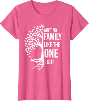 Ain't No Family Like The One I Got Funny Family Reunion 2025