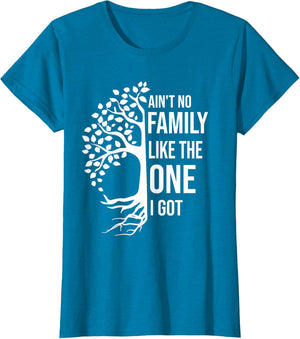 Ain't No Family Like The One I Got Funny Family Reunion 2025
