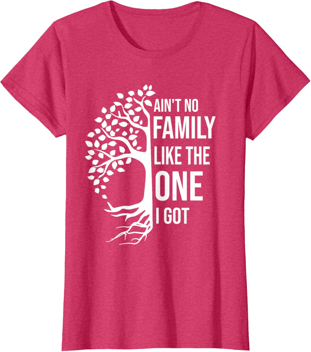 Ain't No Family Like The One I Got Funny Family Reunion 2025