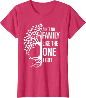 Ain't No Family Like The One I Got Funny Family Reunion 2025