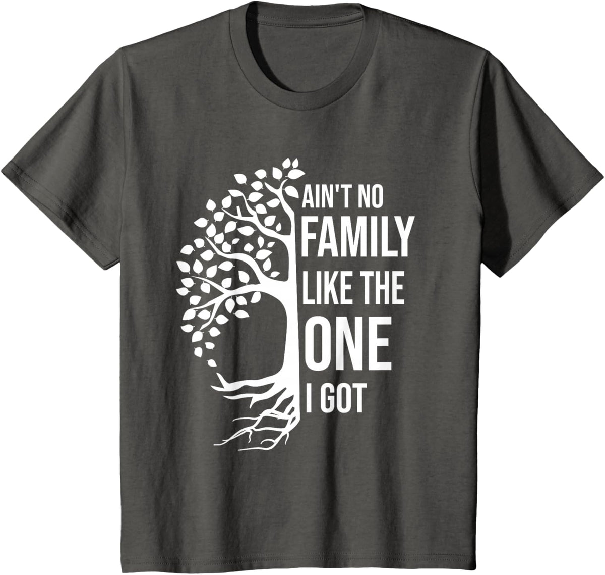 Ain't No Family Like The One I Got Funny Family Reunion 2025