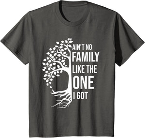 Ain't No Family Like The One I Got Funny Family Reunion 2025