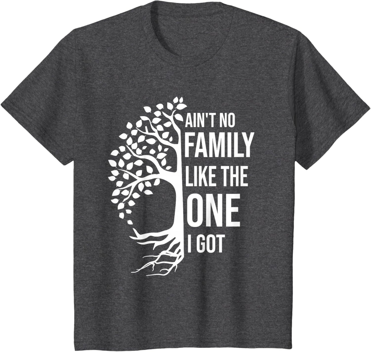 Ain't No Family Like The One I Got Funny Family Reunion 2025
