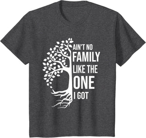 Ain't No Family Like The One I Got Funny Family Reunion 2025