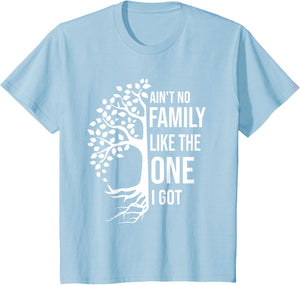 Ain't No Family Like The One I Got Funny Family Reunion 2025