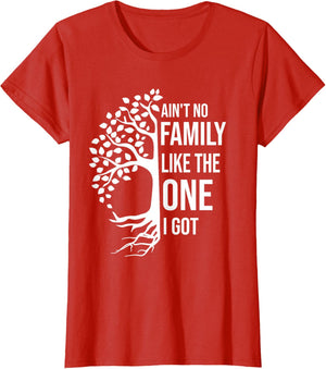 Ain't No Family Like The One I Got Funny Family Reunion 2025