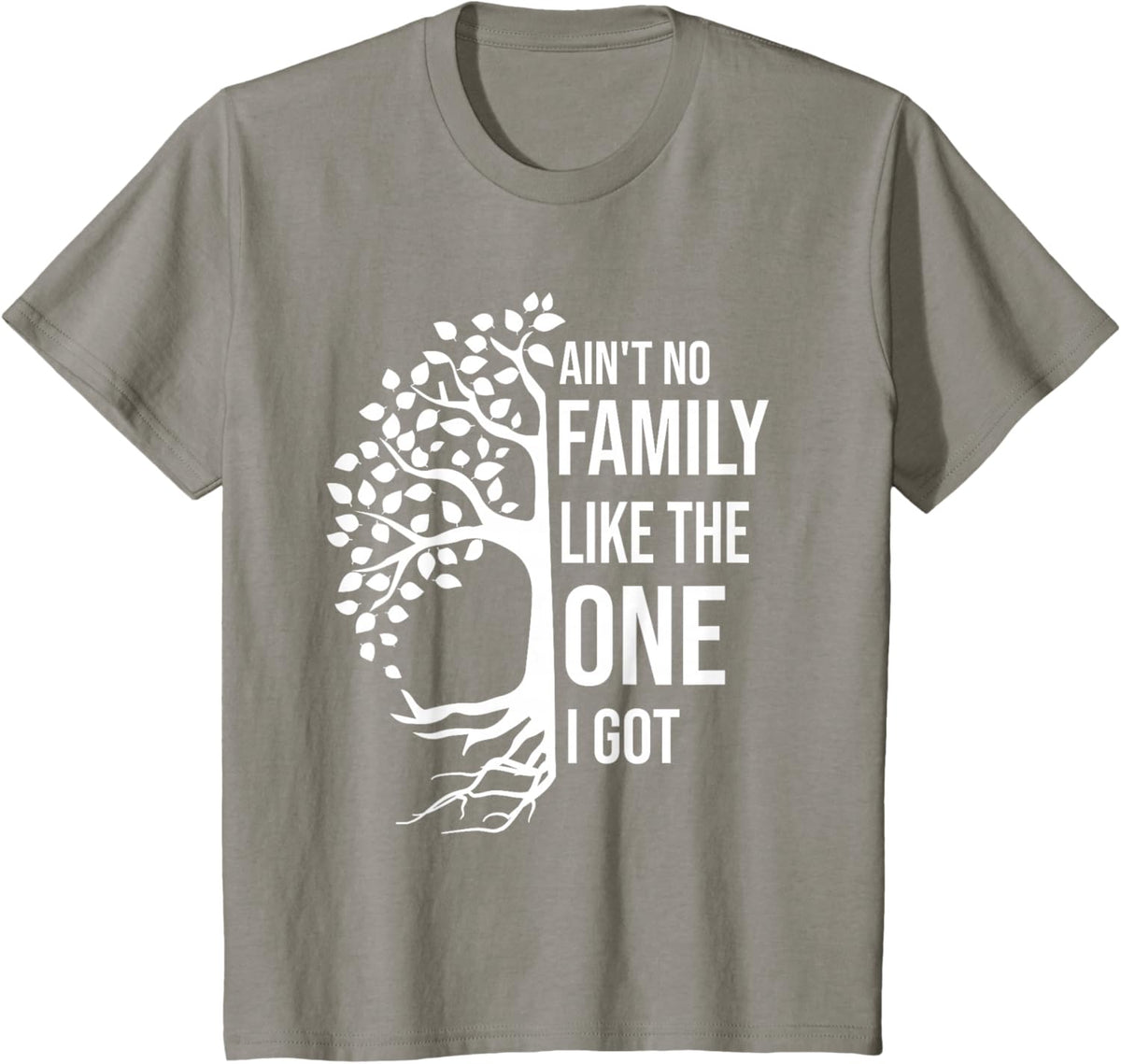 Ain't No Family Like The One I Got Funny Family Reunion 2025