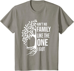 Ain't No Family Like The One I Got Funny Family Reunion 2025