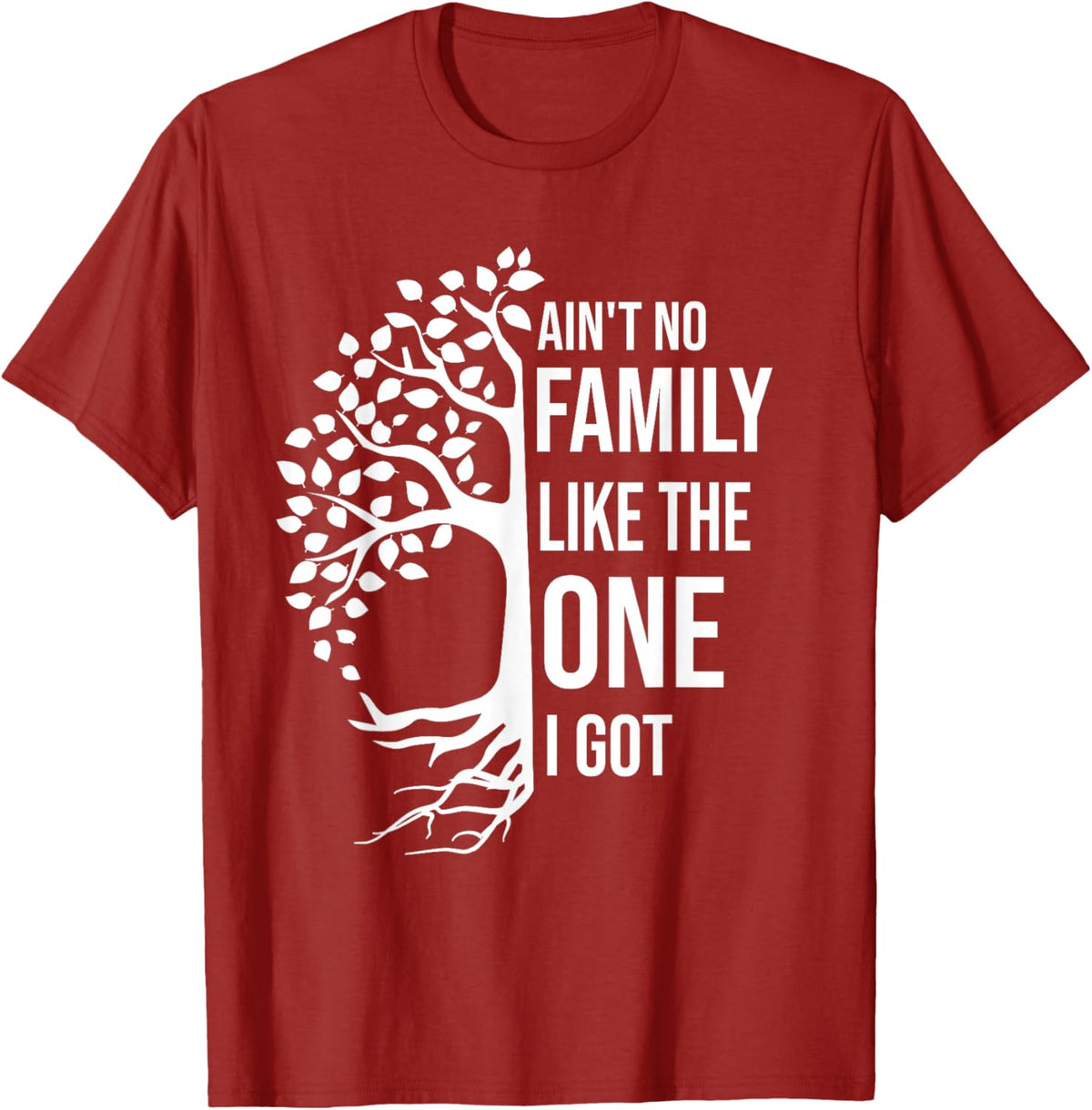 Ain't No Family Like The One I Got Funny Family Reunion 2025