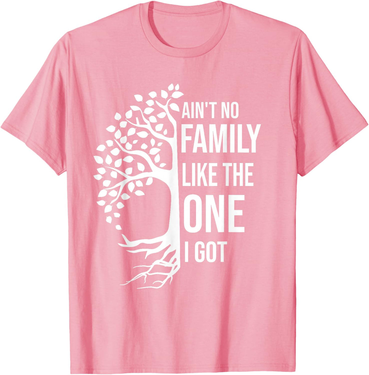 Ain't No Family Like The One I Got Funny Family Reunion 2025