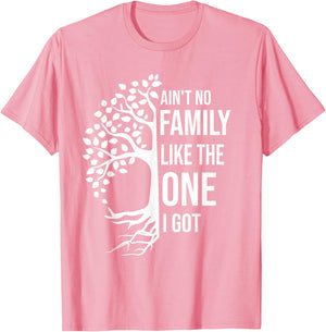 Ain't No Family Like The One I Got Funny Family Reunion 2025