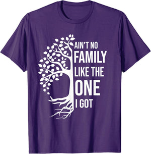 Ain't No Family Like The One I Got Funny Family Reunion 2025