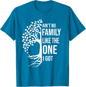 Ain't No Family Like The One I Got Funny Family Reunion 2025