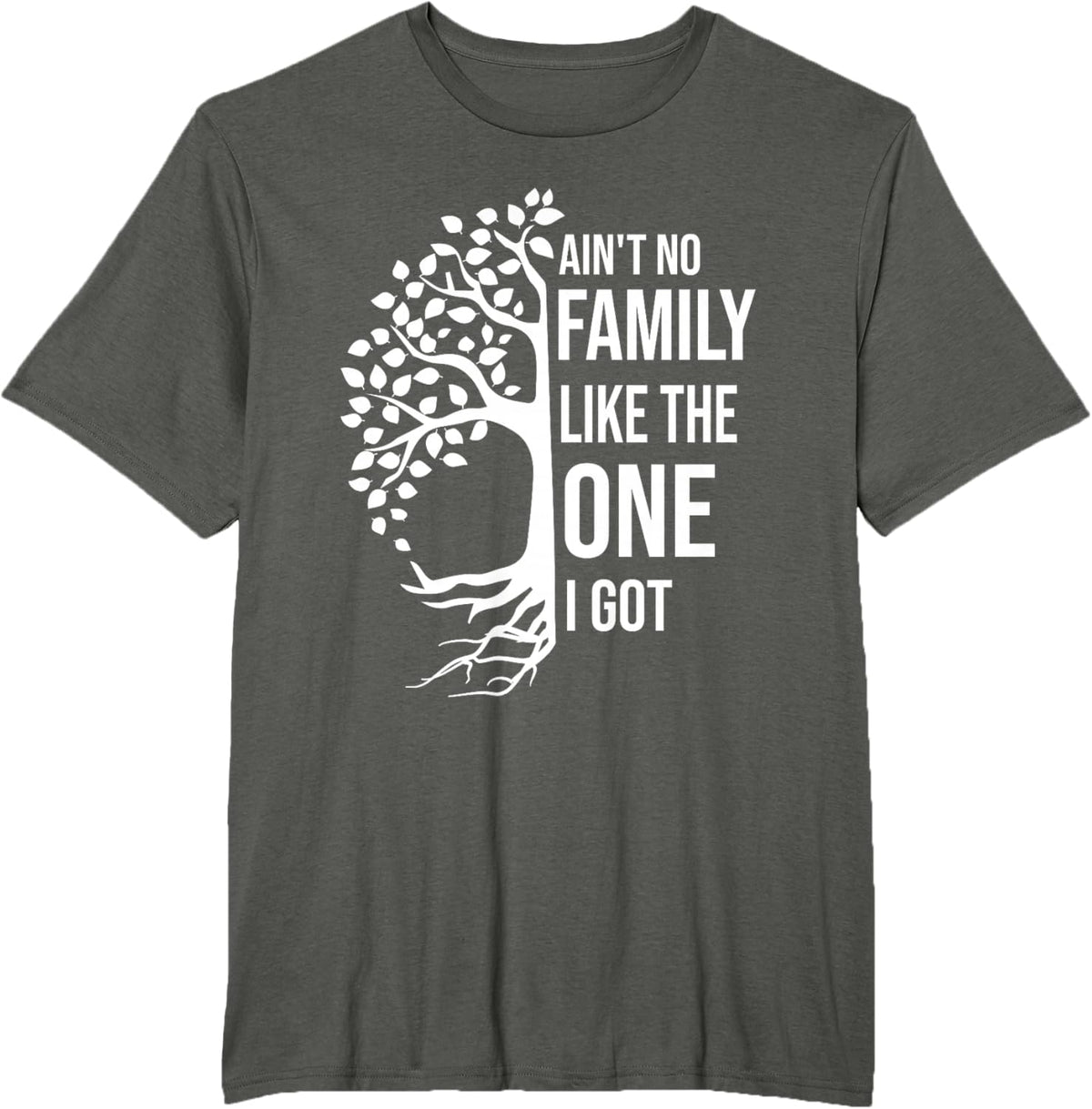 Ain't No Family Like The One I Got Funny Family Reunion 2025