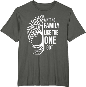 Ain't No Family Like The One I Got Funny Family Reunion 2025