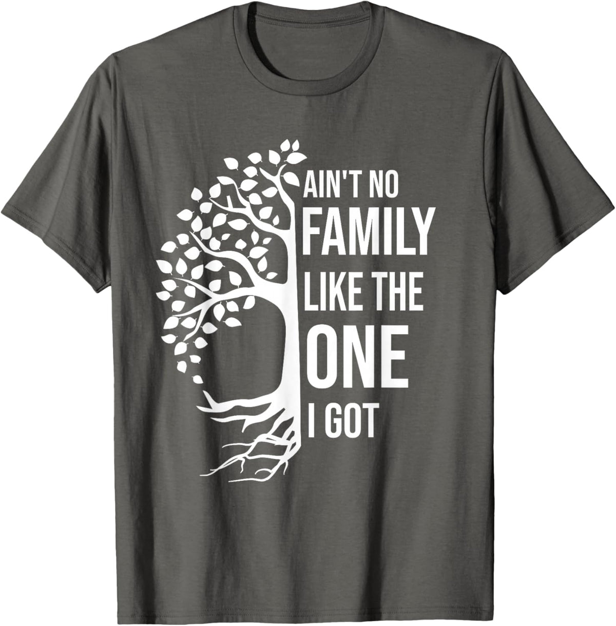 Ain't No Family Like The One I Got Funny Family Reunion 2025