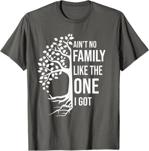 Ain't No Family Like The One I Got Funny Family Reunion 2025