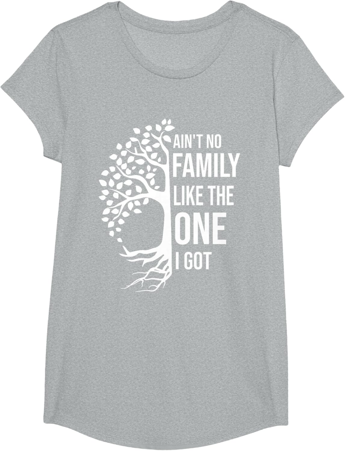 Ain't No Family Like The One I Got Funny Family Reunion 2025
