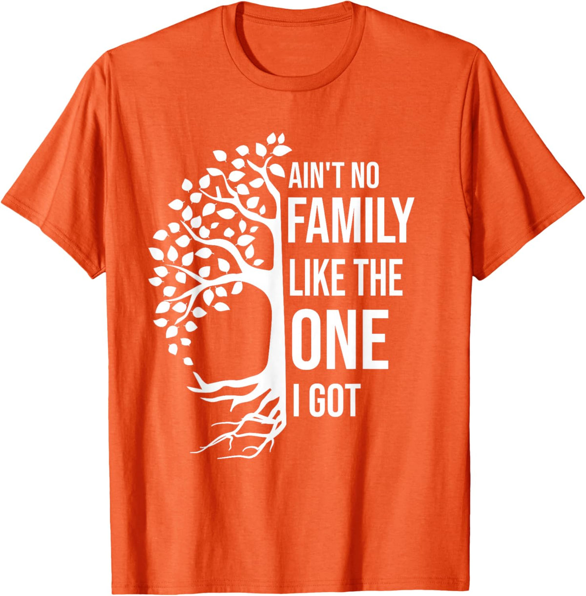 Ain't No Family Like The One I Got Funny Family Reunion 2025