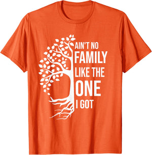 Ain't No Family Like The One I Got Funny Family Reunion 2025