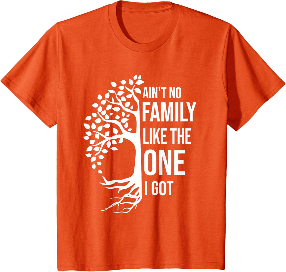 Ain't No Family Like The One I Got Funny Family Reunion 2025