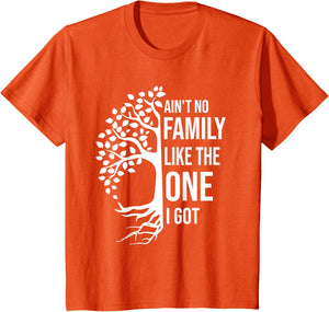 Ain't No Family Like The One I Got Funny Family Reunion 2025