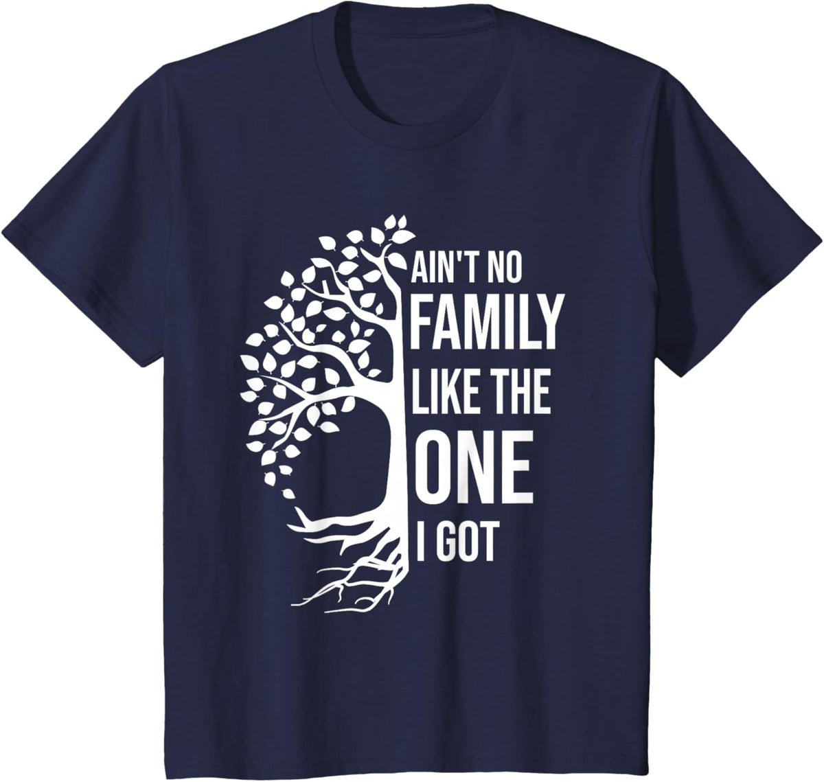 Ain't No Family Like The One I Got Funny Family Reunion 2025