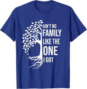 Ain't No Family Like The One I Got Funny Family Reunion 2025