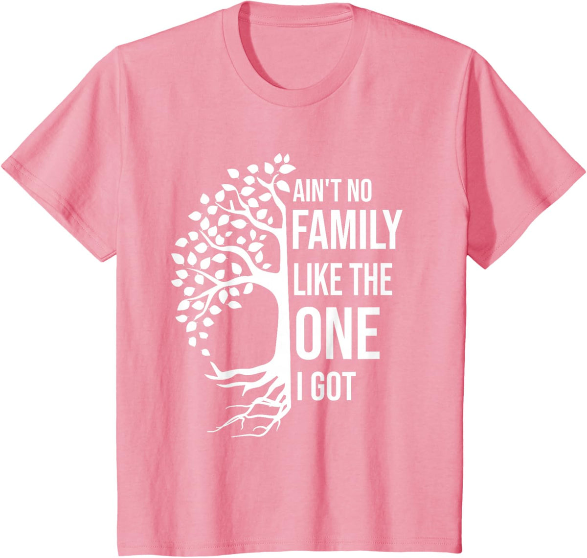 Ain't No Family Like The One I Got Funny Family Reunion 2025