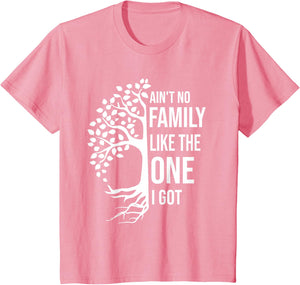 Ain't No Family Like The One I Got Funny Family Reunion 2025
