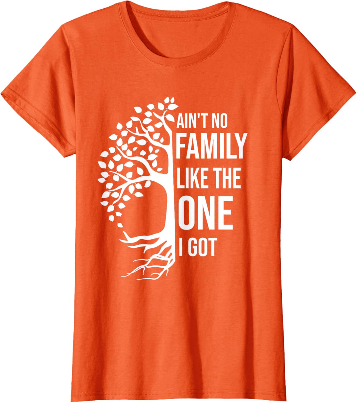 Ain't No Family Like The One I Got Funny Family Reunion 2025
