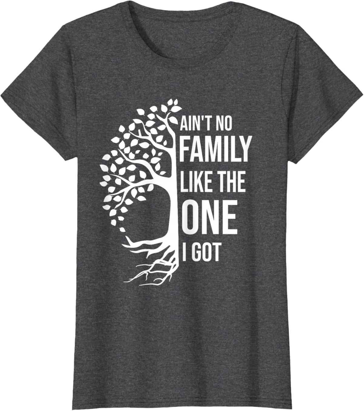 Ain't No Family Like The One I Got Funny Family Reunion 2025