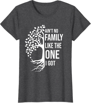 Ain't No Family Like The One I Got Funny Family Reunion 2025