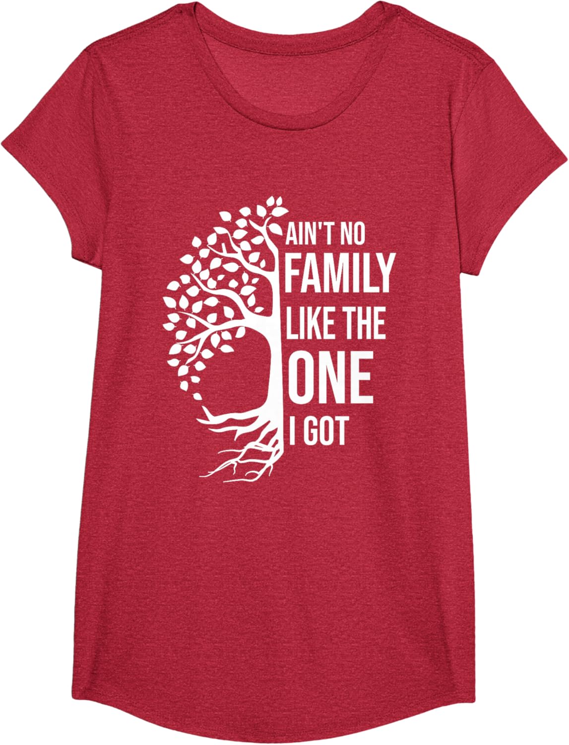 Ain't No Family Like The One I Got Funny Family Reunion 2025