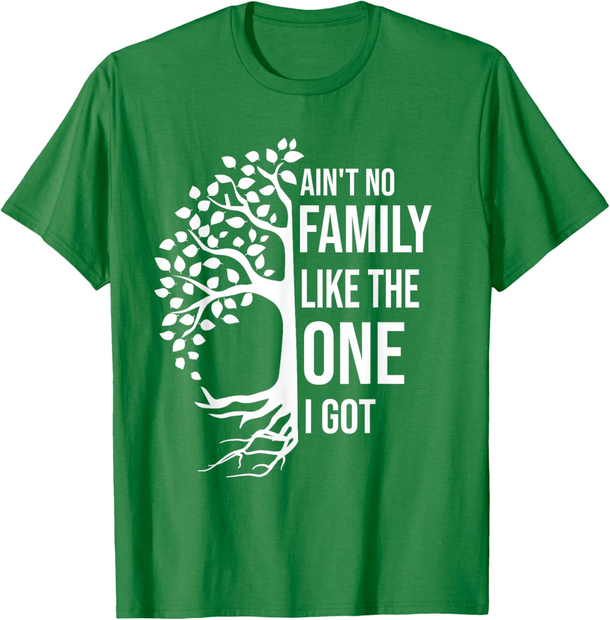 Ain't No Family Like The One I Got Funny Family Reunion 2025