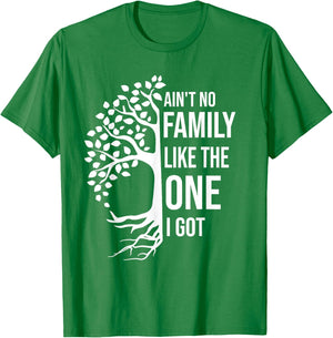 Ain't No Family Like The One I Got Funny Family Reunion 2025